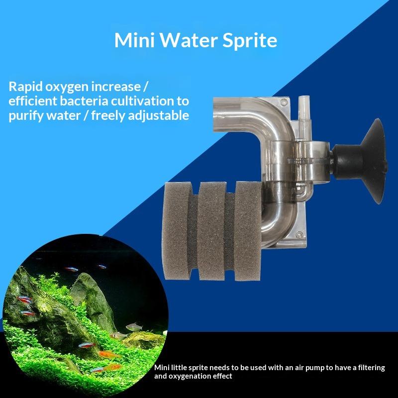 .Hot Sale-Mini Aquarium Sponge - огляд і ціна Aquarium Fish Sale