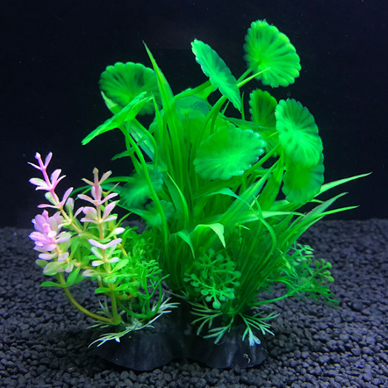 Aquarium decoration a variety  - огляд і ціна Aquarium Fish Variety