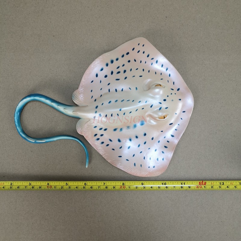 Aquarium Animal Model Toy Unde - огляд і ціна Aquarium Fish Market