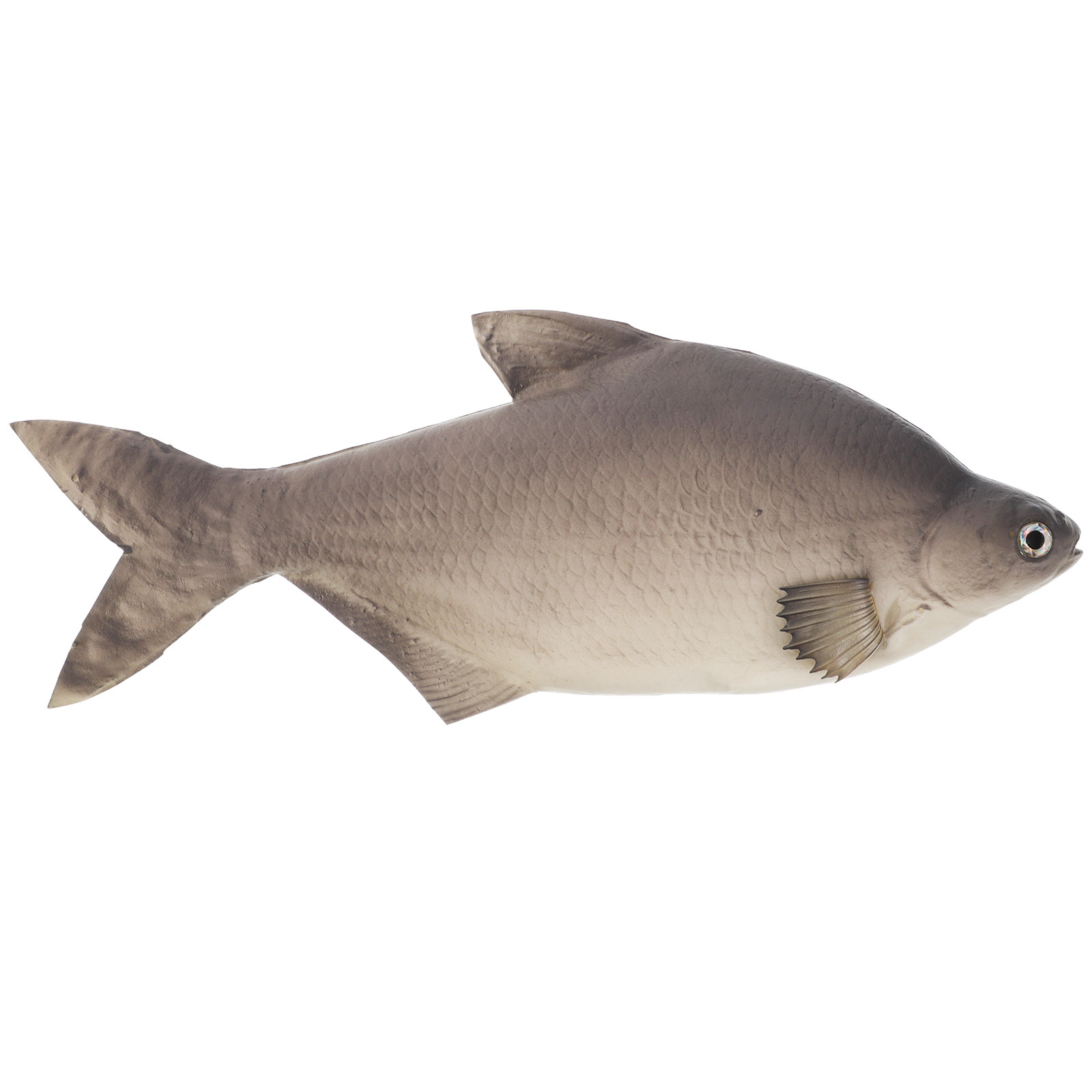 Detailed PU Simulated Fish Art - огляд і ціна Aquarium Fish Market