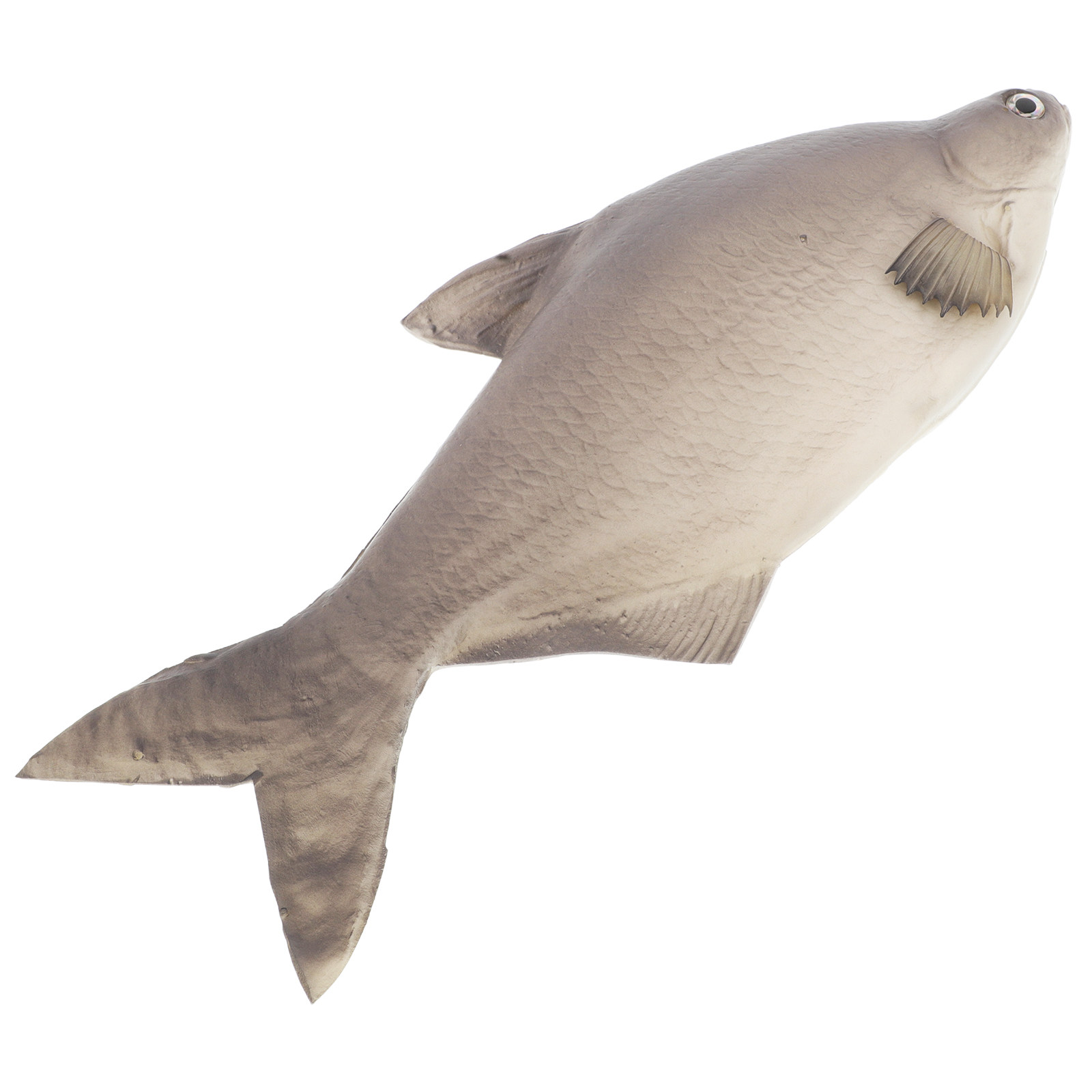 Detailed PU Simulated Fish Art - огляд і ціна Aquarium Fish Market