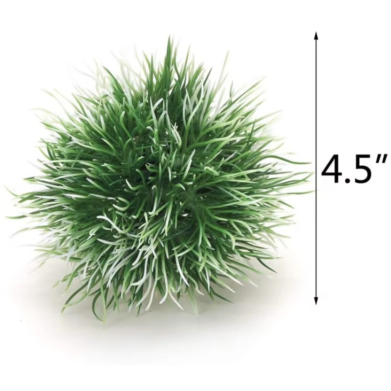 10pcs Hot Selling New Arrival  - огляд і ціна Aquarium Fish Sale