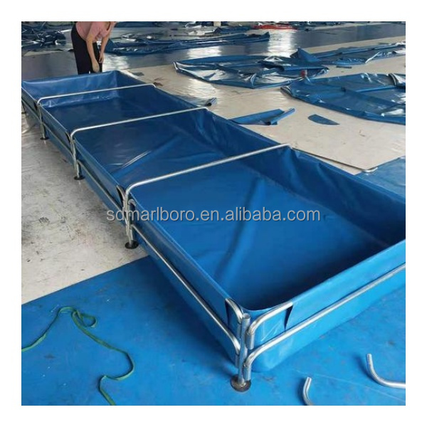 AIROW Custom Commercial High Q - огляд і ціна Aquarium Fish Sale