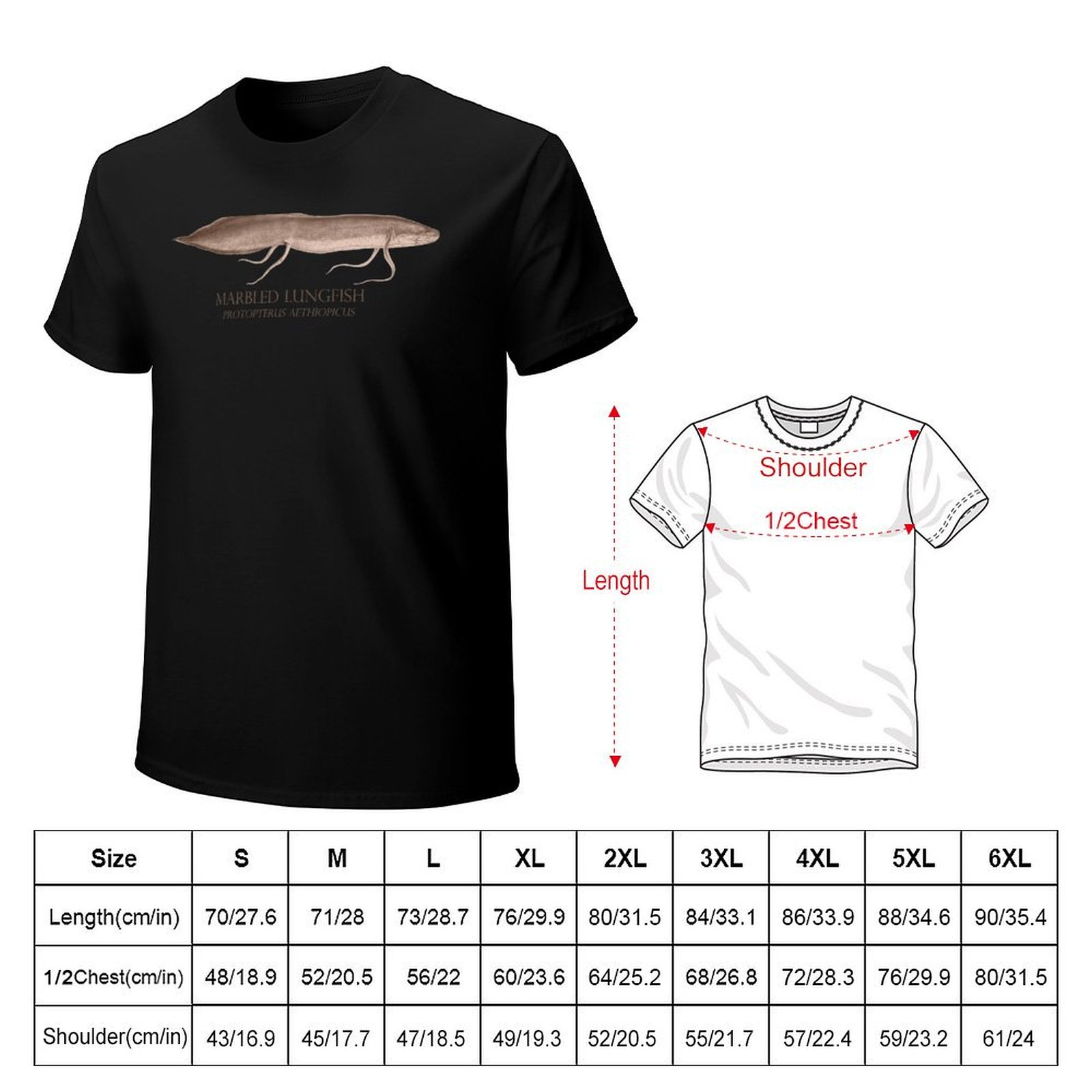 Lungfish Protopterus Aquarium  - огляд і ціна Aquarium Fish Monster