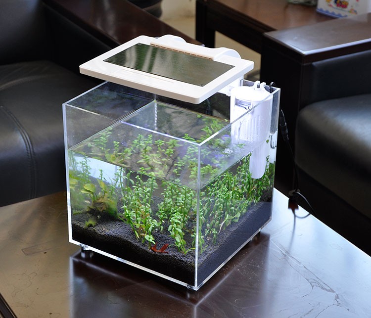 Mini Acrylic (25*25*25cm) Sale - огляд і ціна Aquarium Fish Sale