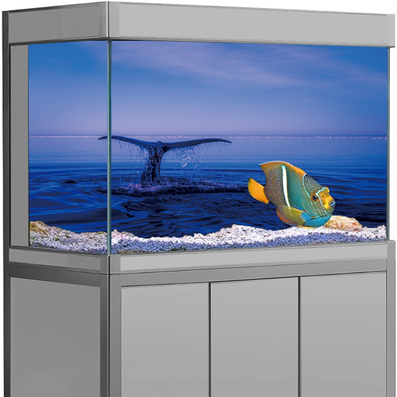 Aquarium Background Sticker Do - огляд і ціна Aquarium Fish Dolphin