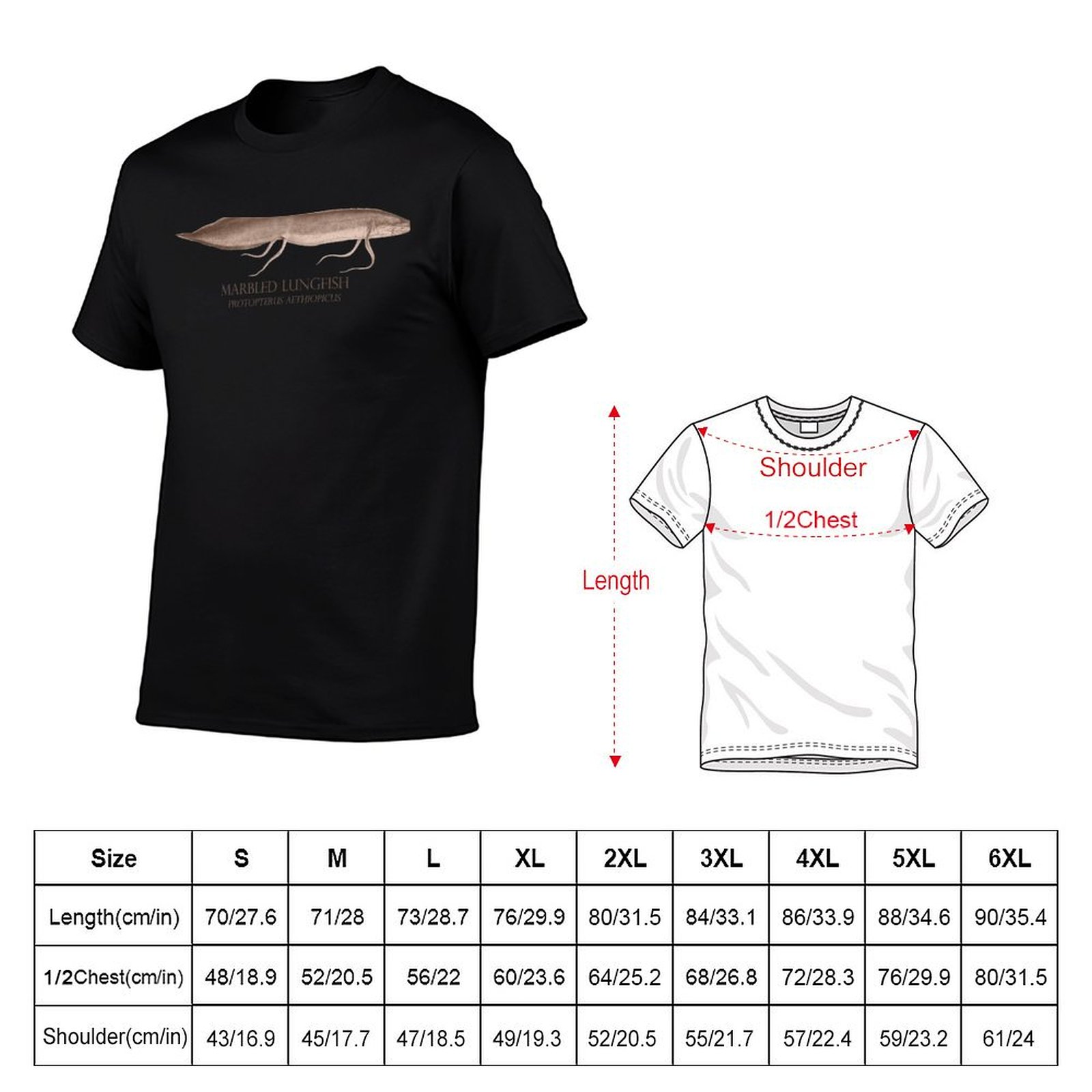 Lungfish Protopterus Aquarium  - огляд і ціна Aquarium Fish Monster