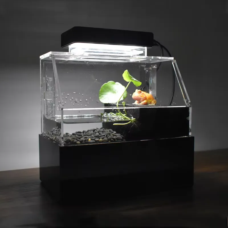 Relaxlines Custom Desktop Aqua - огляд і ціна Aquarium Fish Sale