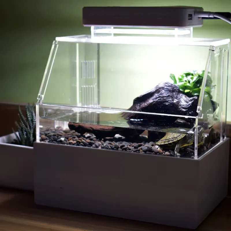 Relaxlines Custom Desktop Aqua - огляд і ціна Aquarium Fish Sale