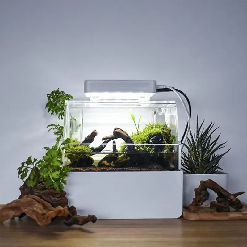 Relaxlines Custom Desktop Aqua - огляд і ціна Aquarium Fish Sale