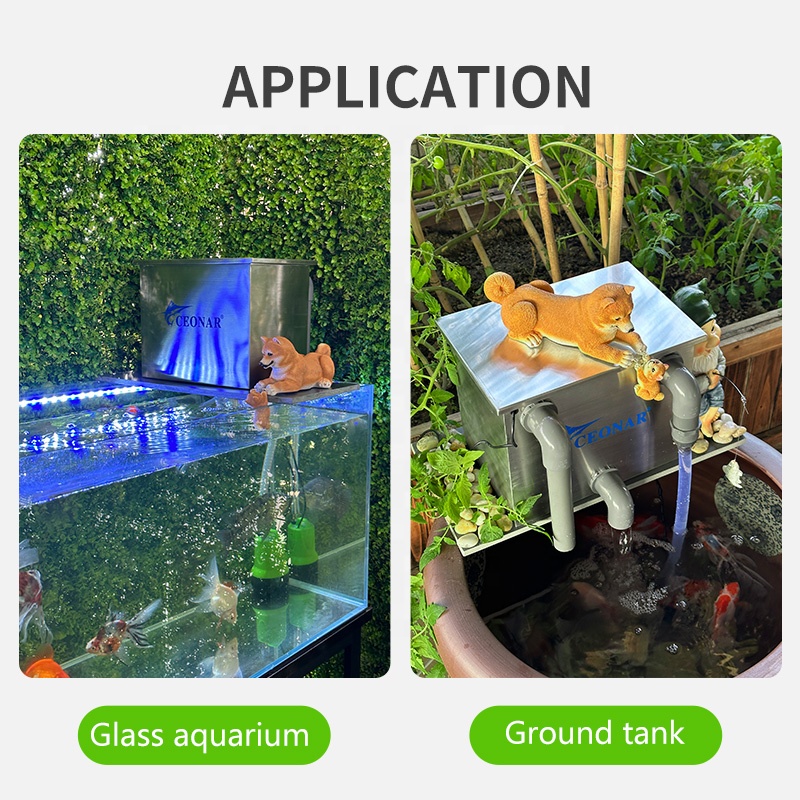 Factory Direct Sales Aquarium  - огляд і ціна Aquarium Fish Sale